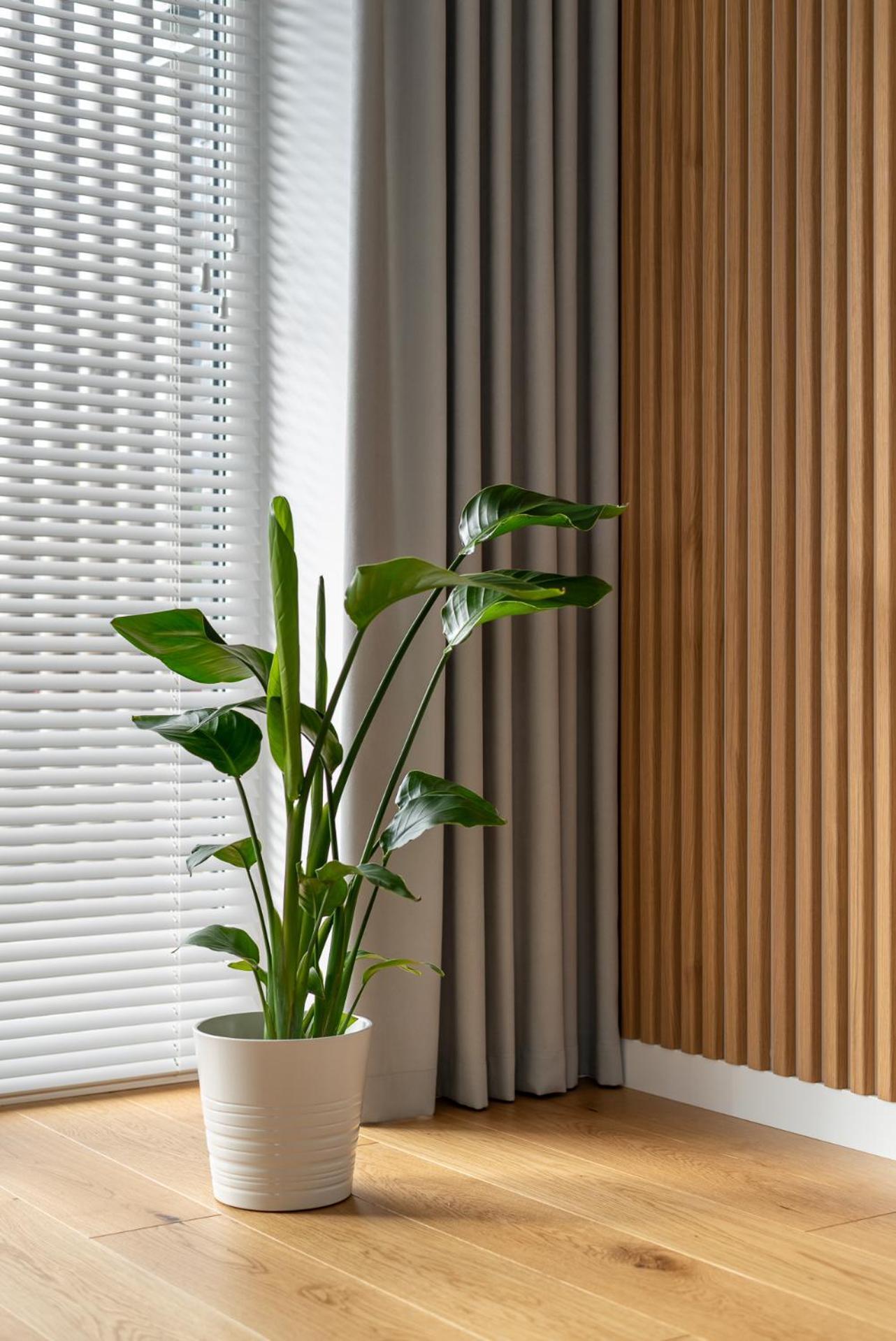 D33 Vilnius - Brand New Luxury Apartment With Terrace, Garden, Ac And Parking Экстерьер фото
